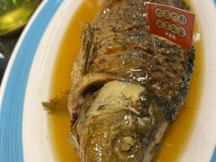 -山西派(桥东街店)