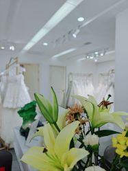 -LOVE SHINE婚纱·红鼎庄龙凤褂·妈妈装定制