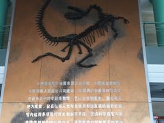 -中华恐龙园