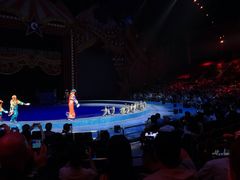 -珠海横琴长隆《卡卡虎奇遇记》