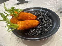 -丁老爷子苏香圆