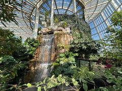 -昆明植物园