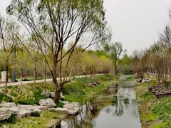 -东郊湿地公园