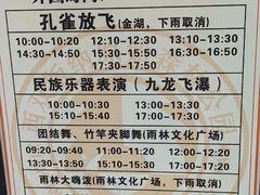 -西双版纳原始森林公园