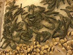 -QQ海鲜餐厅