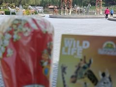 -北京野生动物园