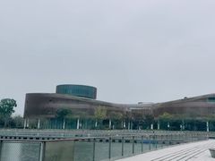 -东方美谷JW万豪酒店·The lounge大堂吧