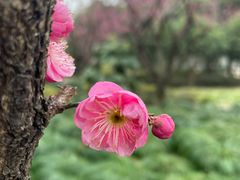 -共青国家森林公园-售票处