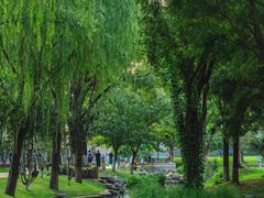 -三里河公园