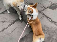 -海窝子古镇