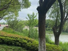 -昆山城市生态森林公园