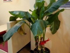-欧亚达商业广场(红桥店)