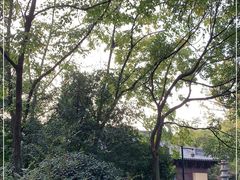 -慧因高丽寺