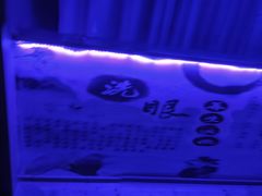 -汤W城市微度假(仓山店)