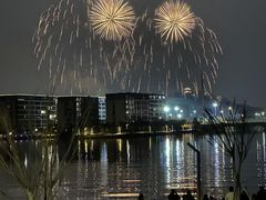 -绍兴镜湖国家城市湿地公园