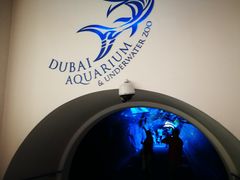 -迪拜水族馆及水下动物园