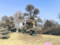 -济南国际园博园