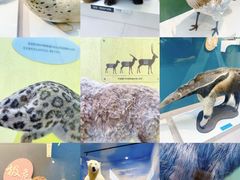 -国家自然博物馆