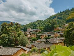 -杨家堂村
