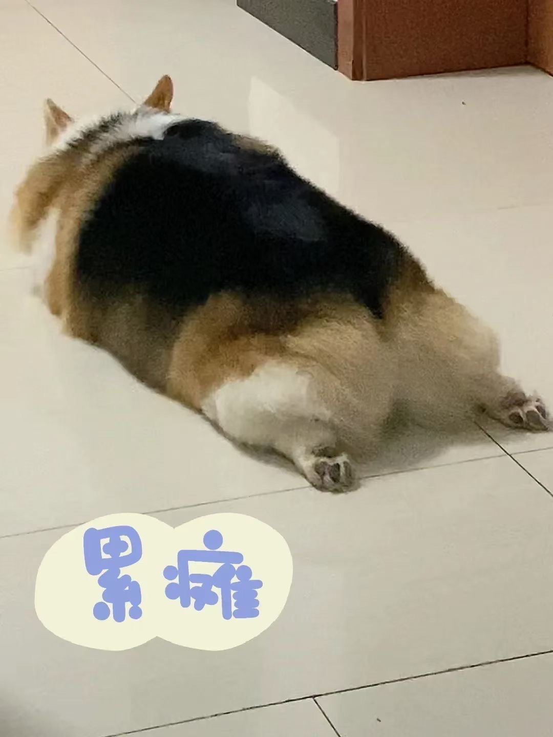 玩累了怎么办?