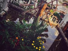 -慢丽江·云南野生菌土鸡锅(付家庄店)