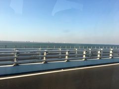 -如意香辣鸡架(总店)