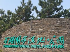 -洋湖国家湿地公园