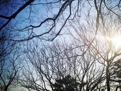 -春风十里咖啡馆
