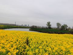 -南京市江宁方山