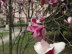 -陕西师范大学(雁塔校区)