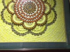 -上海昆虫博物馆