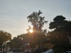 -西林禅寺