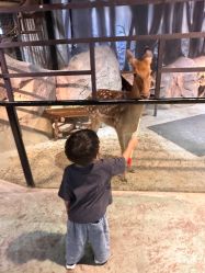 -酷嗒动物文化乐园(cutezoo西溪乐天城店)