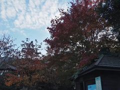 -白马涧龙池景区