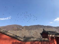 -一盏明灯全素斋(殊像寺店)
