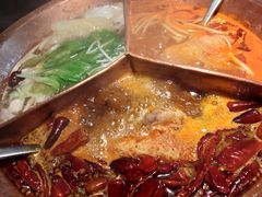 -锅说大脸毛肚重庆老火锅(佐阾店)
