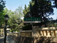 -八大关景区