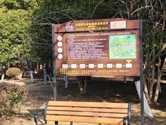 -合肥野生动物园