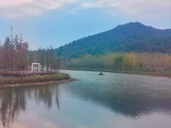 -千年银杏谷文化旅游区