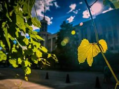-黑龙江中医药大学