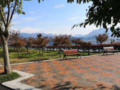 -屈原故里文化旅游区
