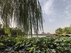 -济南大明湖景区