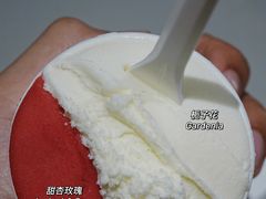 -Dip in Gelato(富民路店)