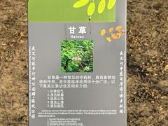 -绿堤公园