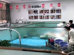 -悟空祛痘·亚健康皮肤管理中心