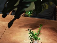 -长春藤咖啡(北园店)