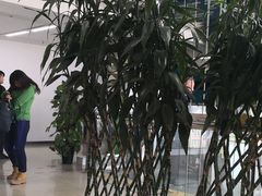 -首都医科大学附属北京潞河医院