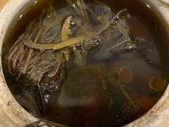 生熟地炖龙骨-大唐靓汤江门私房菜(景田店)
