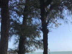 -马銮湾景区