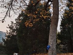 -中关村生命科学园